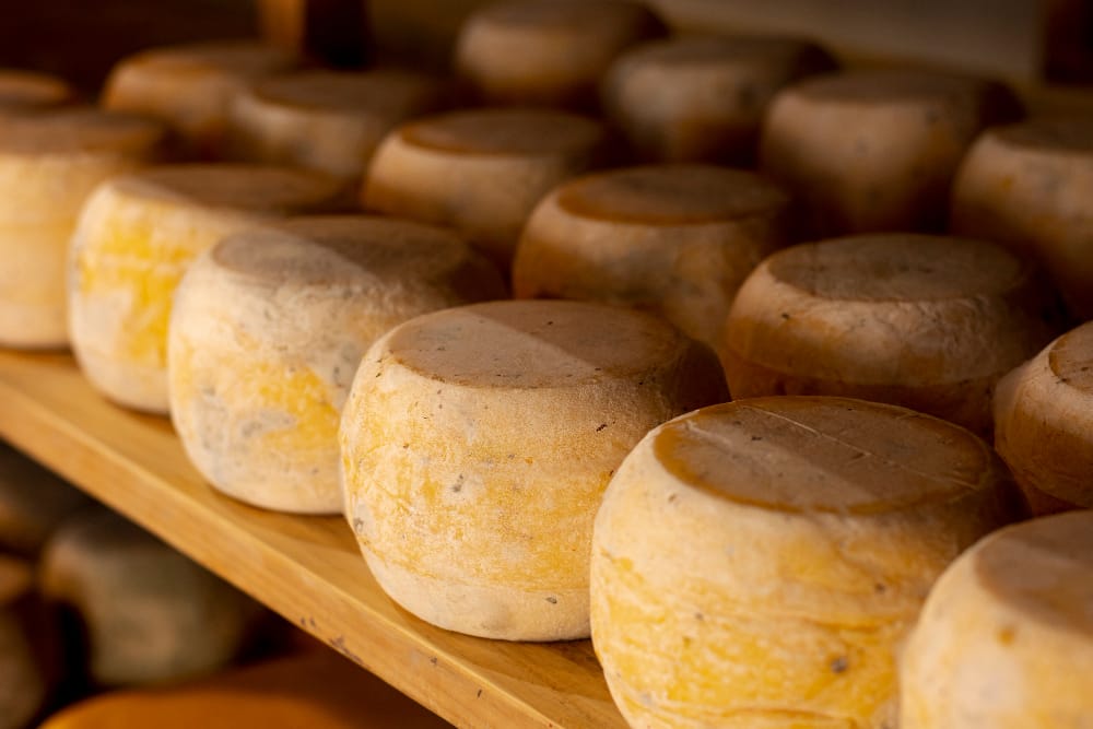 Beneficios de comprar queso en una tienda online